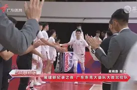 板球夜战：雪域飞鹰队大胜粤西犀牛队，临门一脚致胜门前嗅觉决定胜负(巨神战击队第24集)